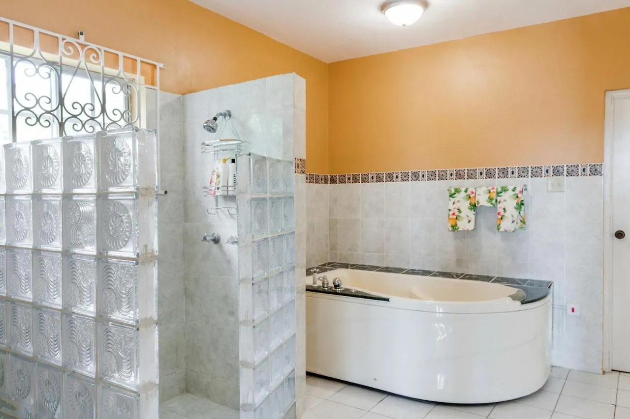 Yanceylargo- 4Br Villa Jacuzzi & Mountain Views Montego Bay 0*,