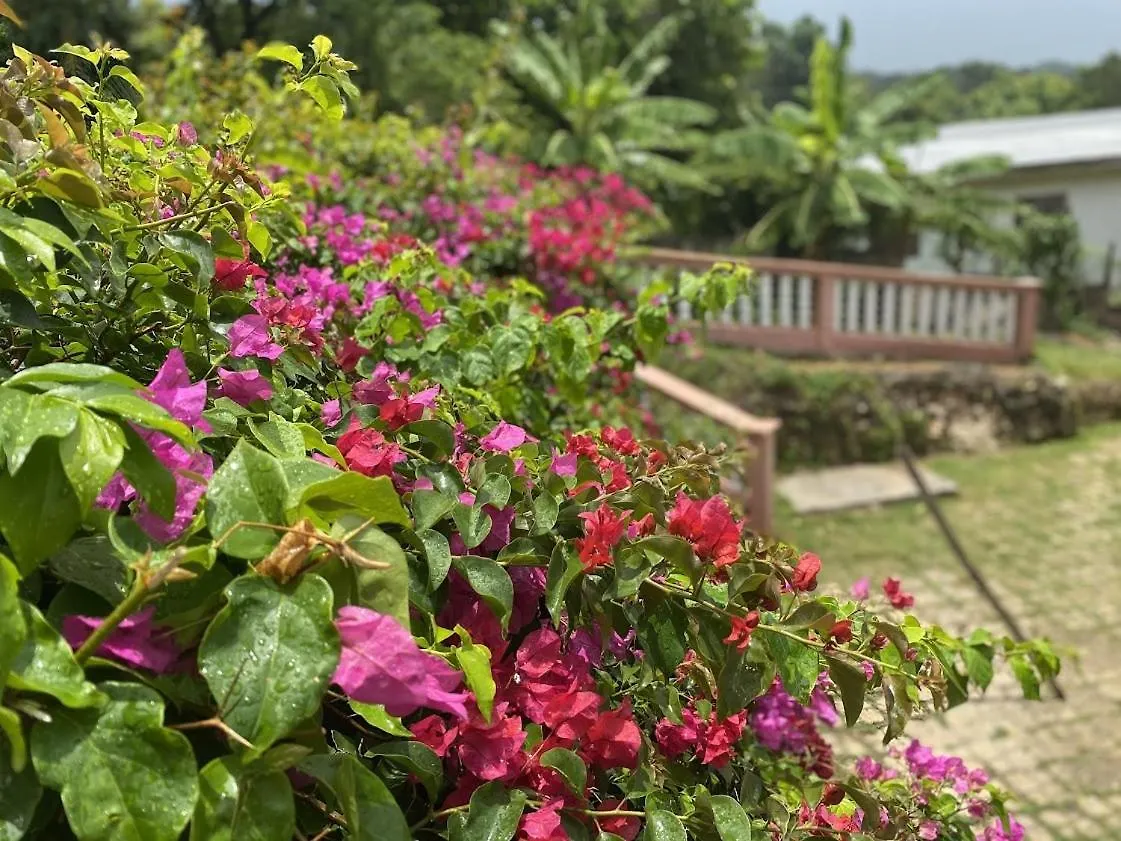 Yanceylargo- 4Br Villa Jacuzzi & Mountain Views Montego Bay Jamajka