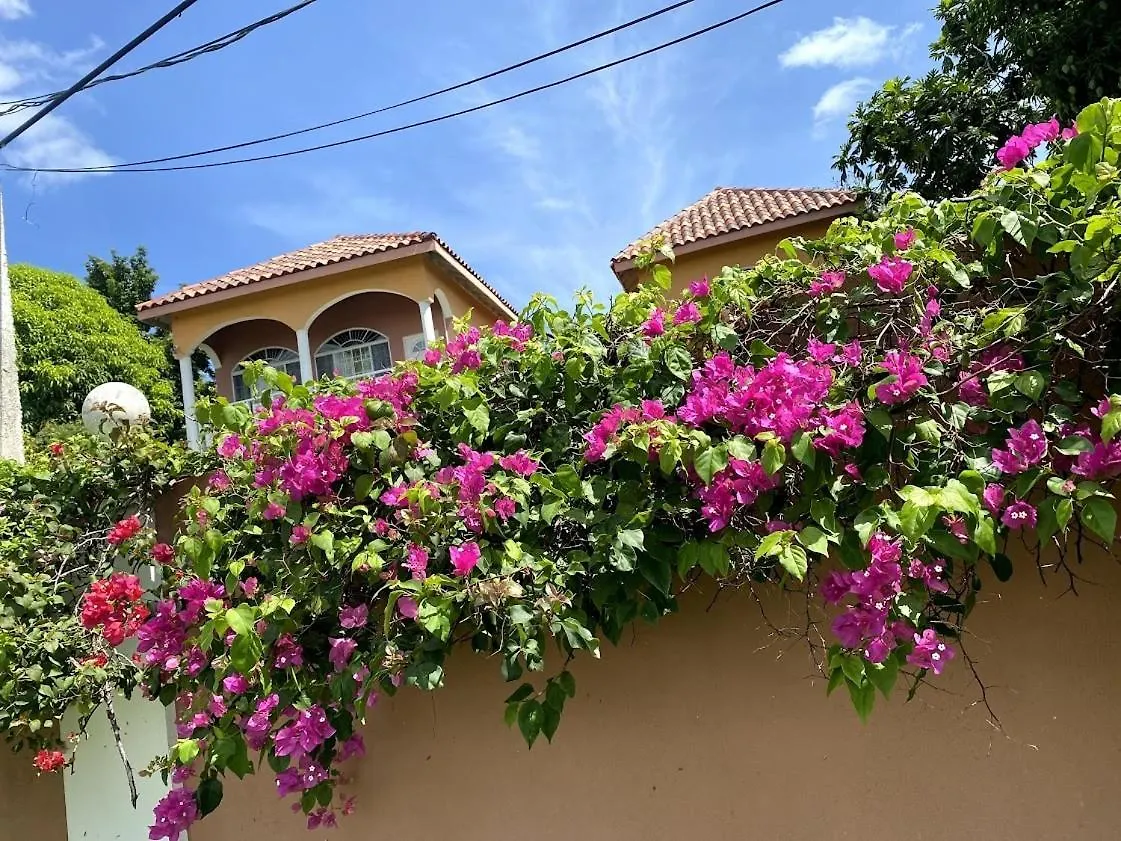 Yanceylargo- 4Br Villa Jacuzzi & Mountain Views Montego Bay